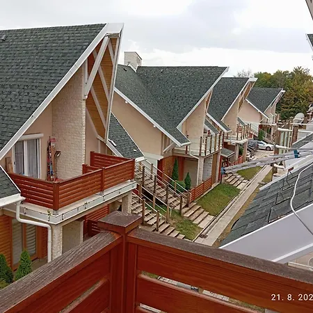 Zova Hemel * 즐라티보